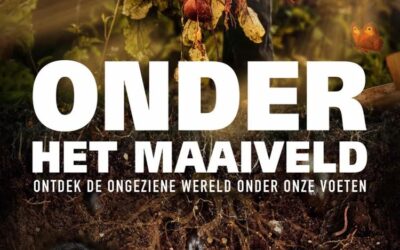 Film: onder het Maaiveld